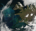 Blue and green in this satellite image show the spring bloom of plant plankton in the sea.